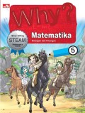 Why? Matematika : Bilangan dan Hitungan