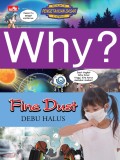 Why? Fine Dust Debu halus